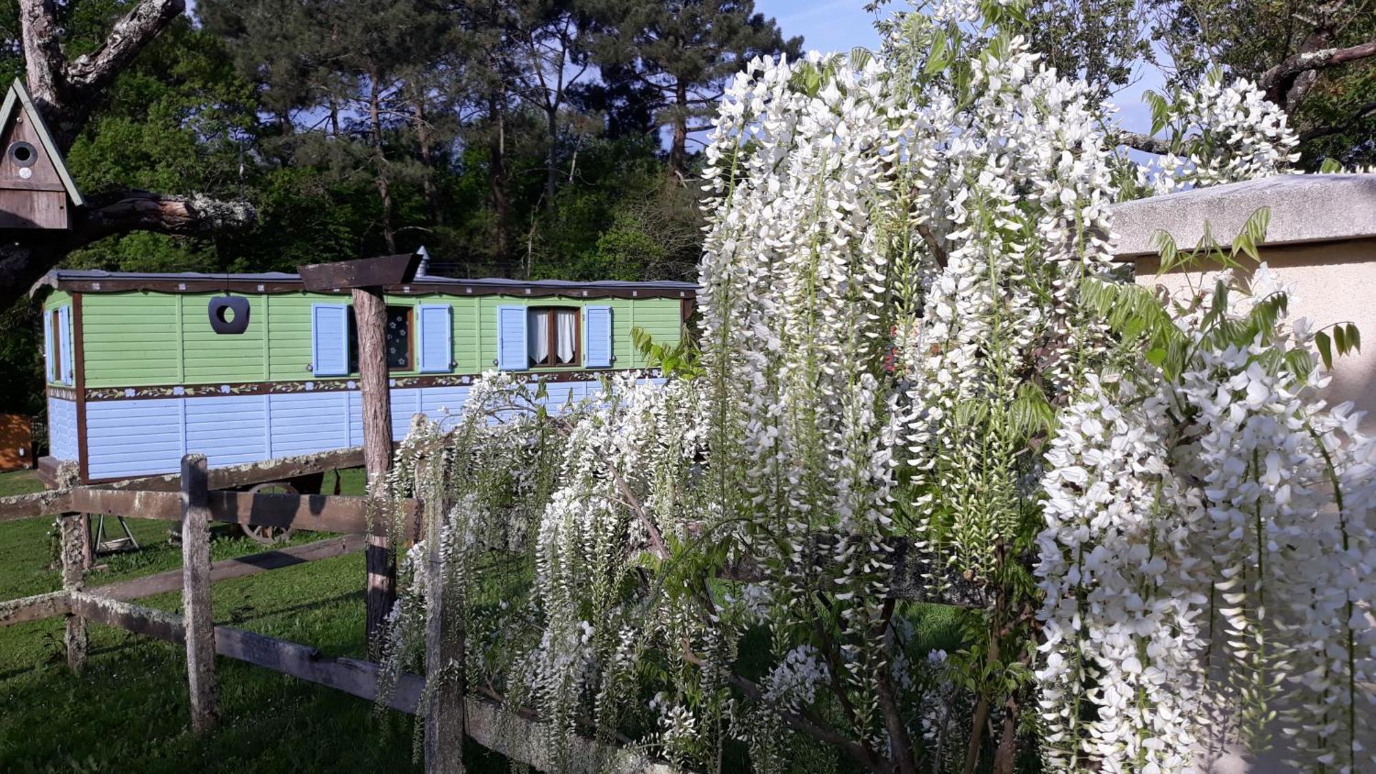 Roulotte Fleur Des Champs Villa Sigalens Exterior foto